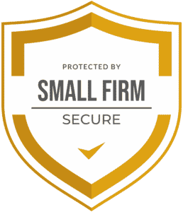 smallfirmsecure-03